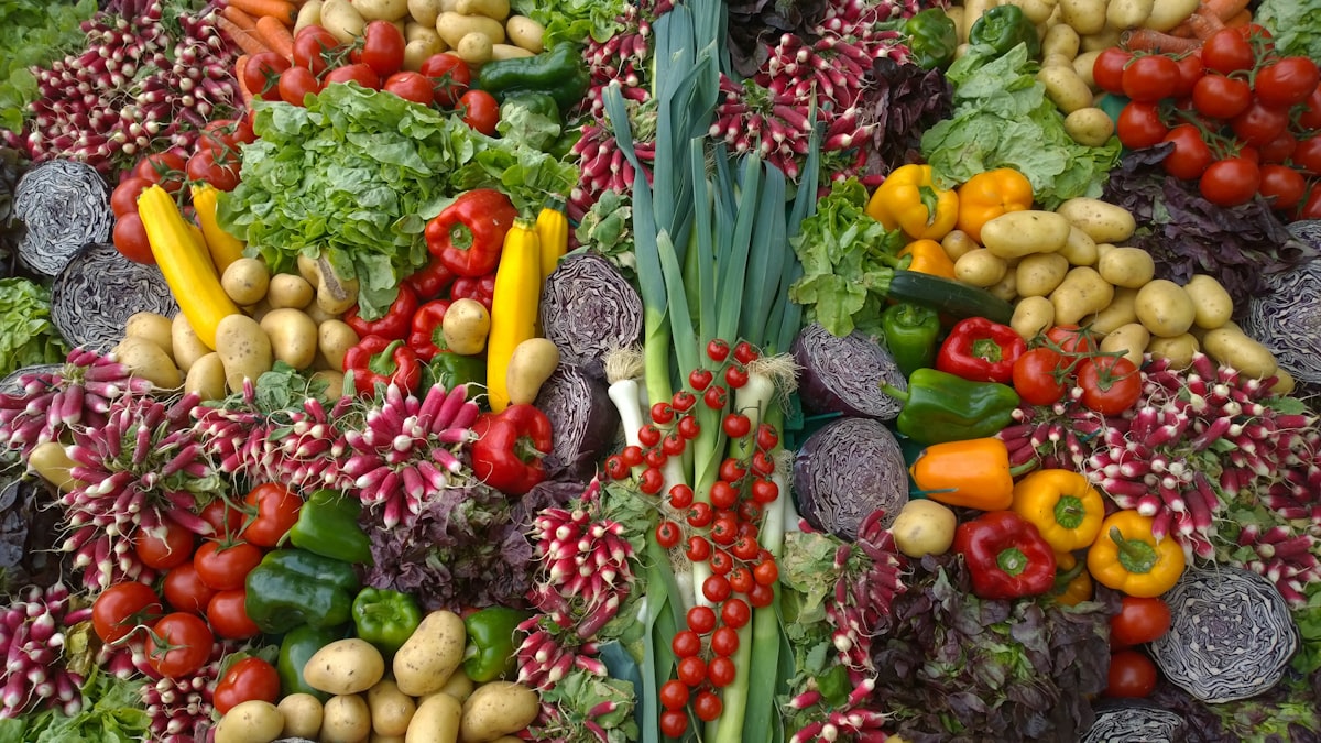 Nutrición especializada para adultos mayores